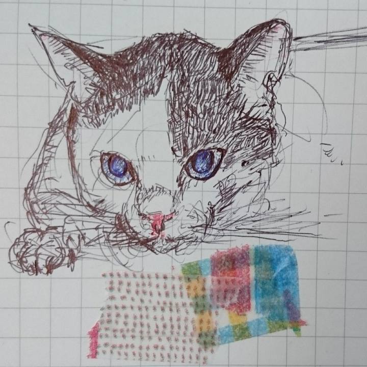 D9cb3cff defd 47f6 a179 2c1c64c9da83 1520523614624