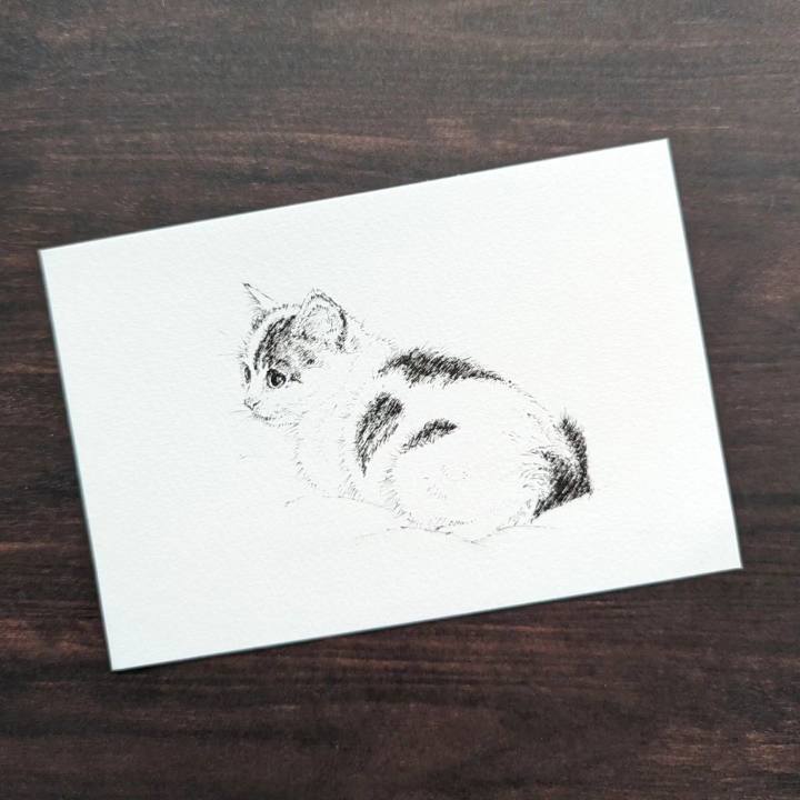 D9cb4bd7 7237 4ddf a93a 1ed1db2b7a8e 1712562466611