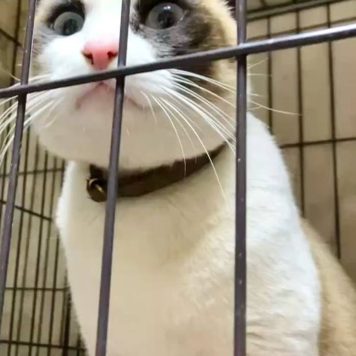 D9cb7bc7 22d0 4977 8a02 319227428020 1739188771570