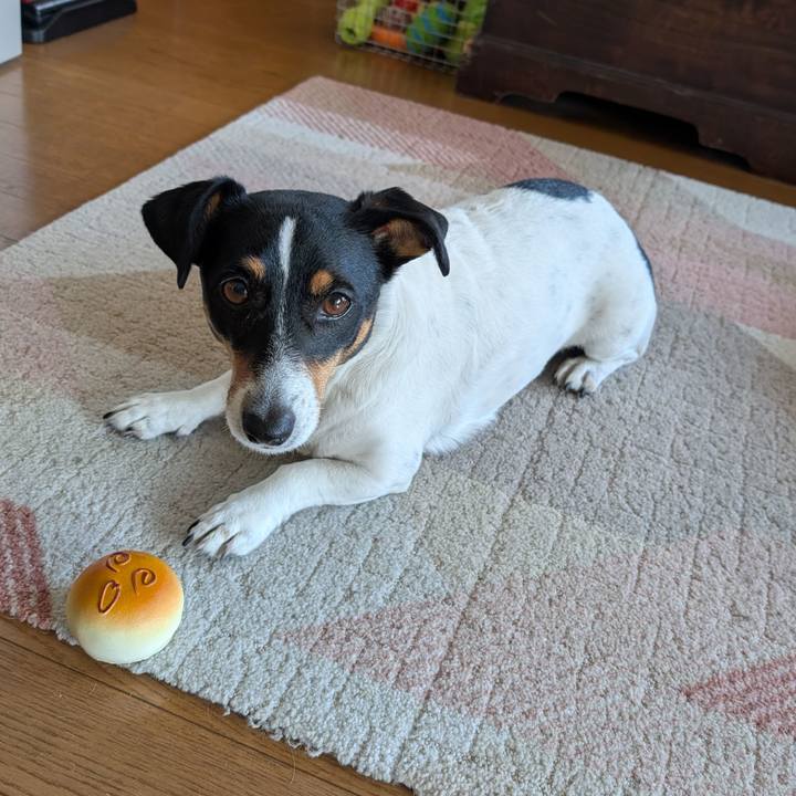 D9cb7f26 0255 4f09 a9eb 15c4675fa63b 1741326612928