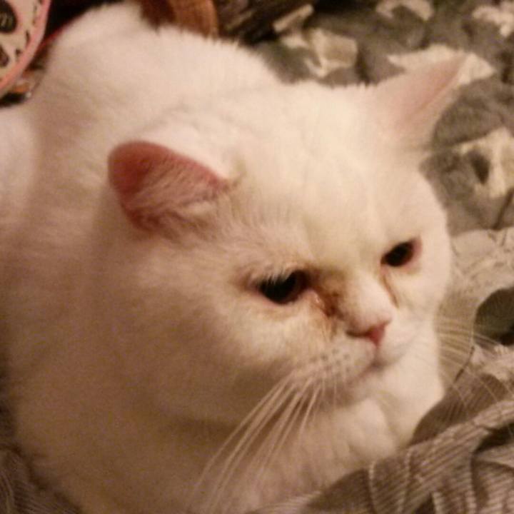 D9cbc24d c841 47e9 a65d a36e6ff4de72 1528113720501