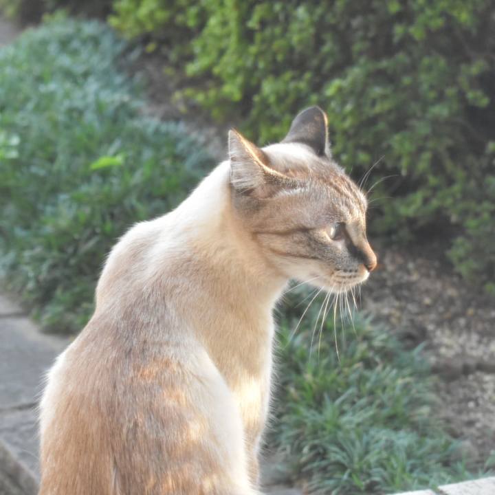 D9cc3fd4 7e21 4541 b323 bfcb4a4c16d2 1600689737784