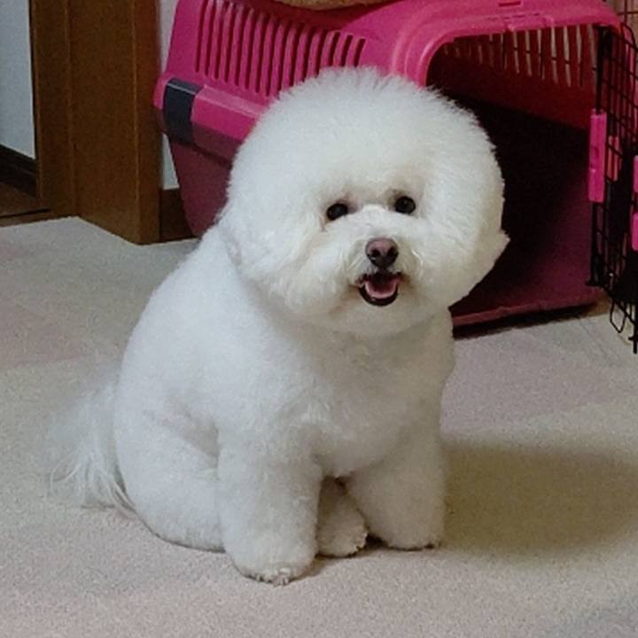 D9cce39e 7c0f 4bf2 98b1 8eb0dd22fabc 1593518968607