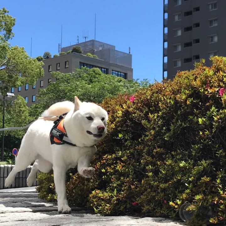 D9ccee56 96f6 4fce bbf7 1636e82a6073 1560660636277