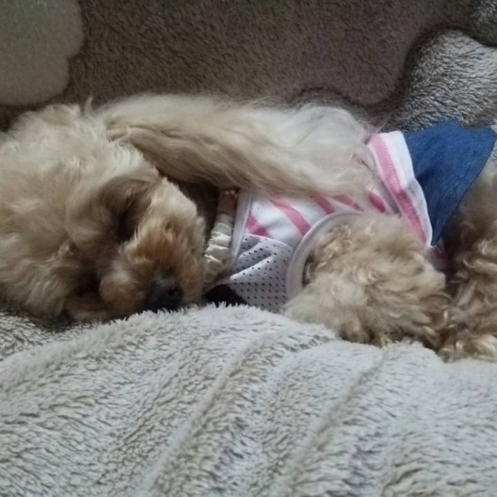 D9cd25e9 1f96 48e0 8872 148c0f98b5bc 1525351779476