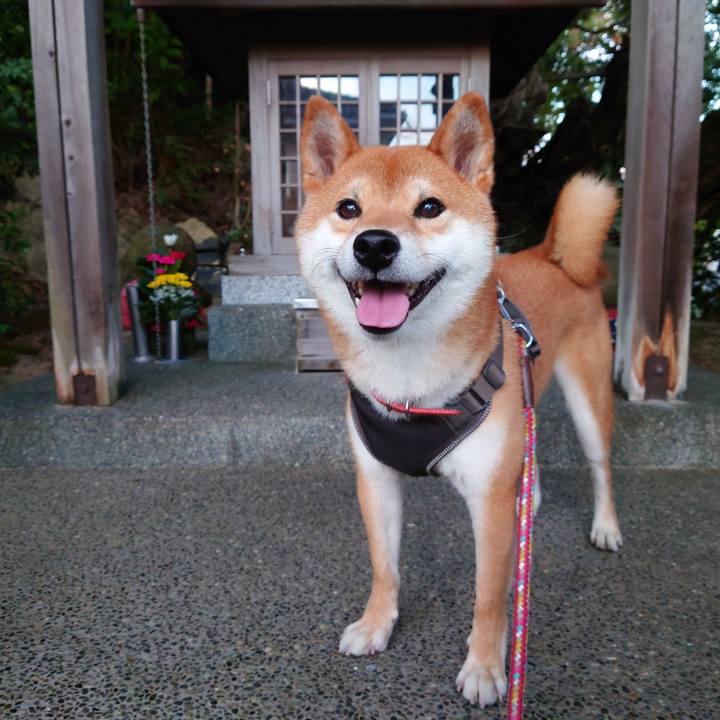 D9cd49ed 28c6 4826 a6c4 5b907fd1a3ca 1759364395806