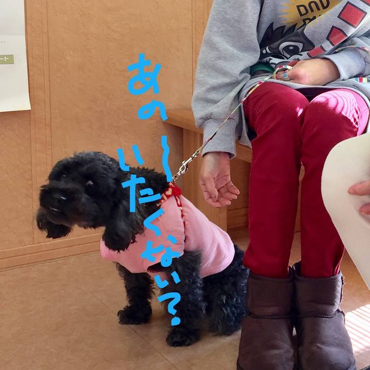 D9cd4bc0 8662 49b8 a111 67705d47efed 1510029244830