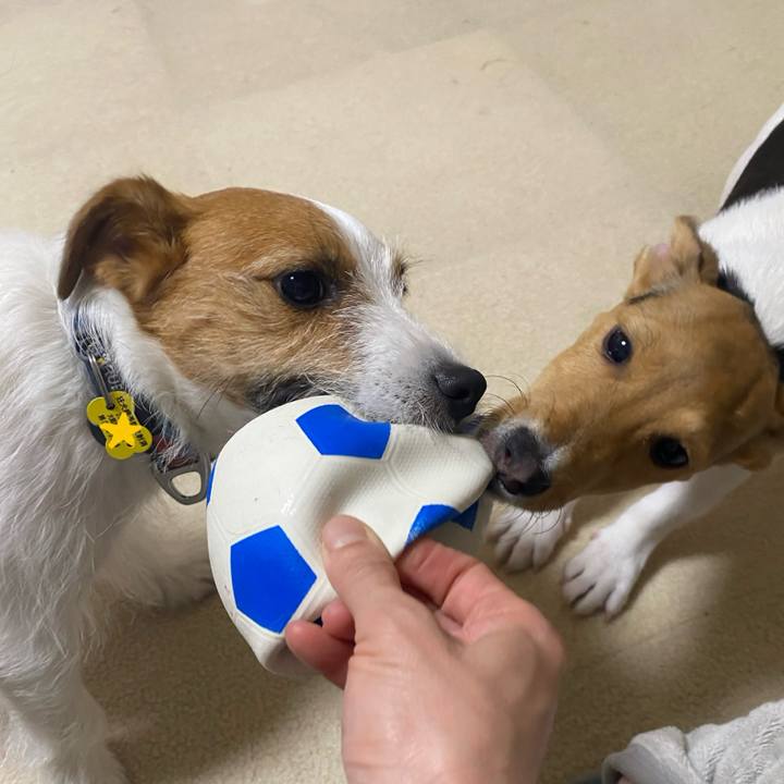 D9cd7309 0128 4a2f 81fa 7108bc4092b1 1747745023462