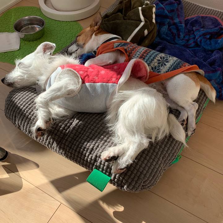 D9cd840c d580 4f77 8ffc b9ea856b0068 1547786882251