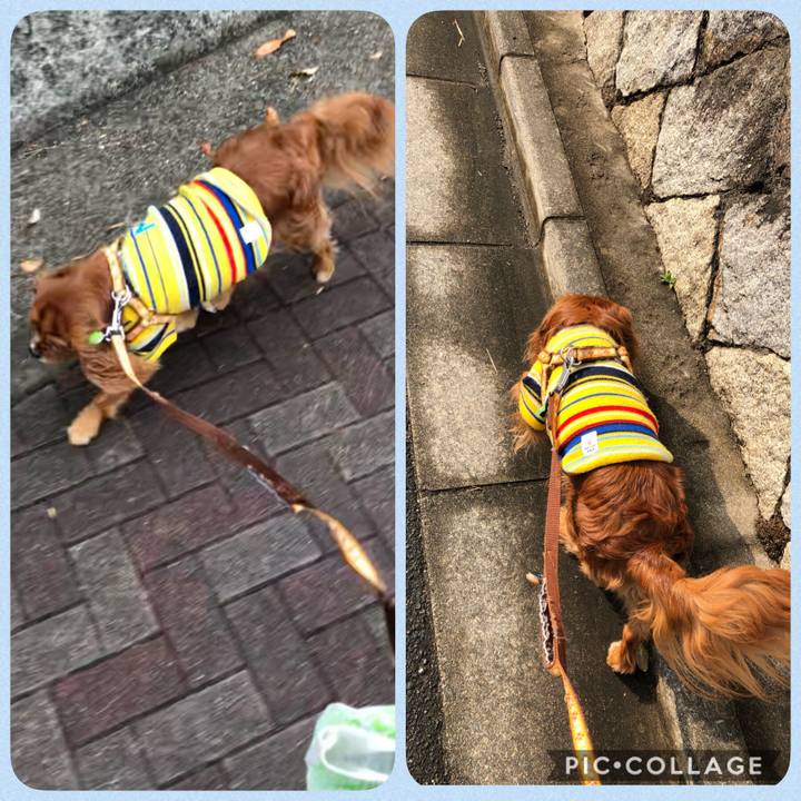 D9cd88c9 6fe3 4479 a4b9 64aaa14801b7 1610771379624