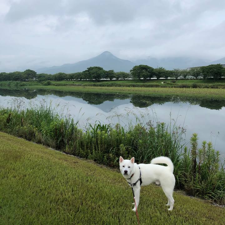 D9cd8a23 9638 4623 a124 f56cbd3534b2 1562708875355