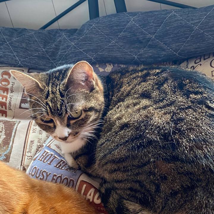 D9cdb72b 7fd3 4902 9d8b 4ae472fb5f76 1588830058257