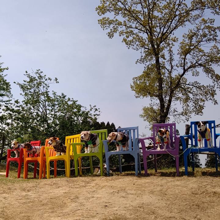 D9cde6f2 1218 4b0a b599 1e877c8dd81a 1619318827205