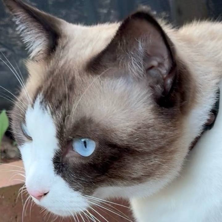 D9ce6480 1f89 45c6 a291 1700f1dce1fd 1760742194726