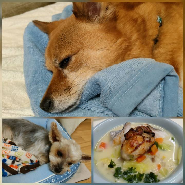 D9ce700e 5ada 470d a8e4 599cc72b57b4 1642937784027