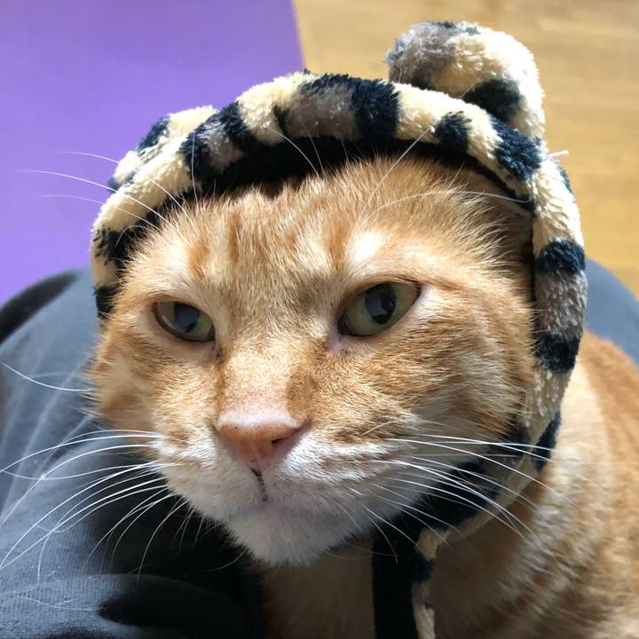 D9ce84a0 9f33 4fae 87d3 f2607c711792 1606555967012