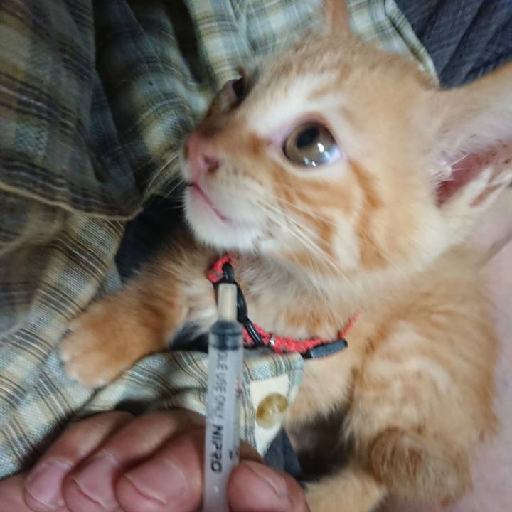 D9cea998 709c 41d7 93e4 d26c0e3e098a 1628199046664