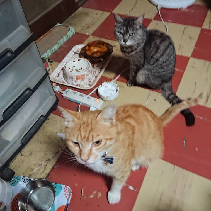 D9cec163 a856 40e0 a7fb 5a68b692a6c7 1560455530184