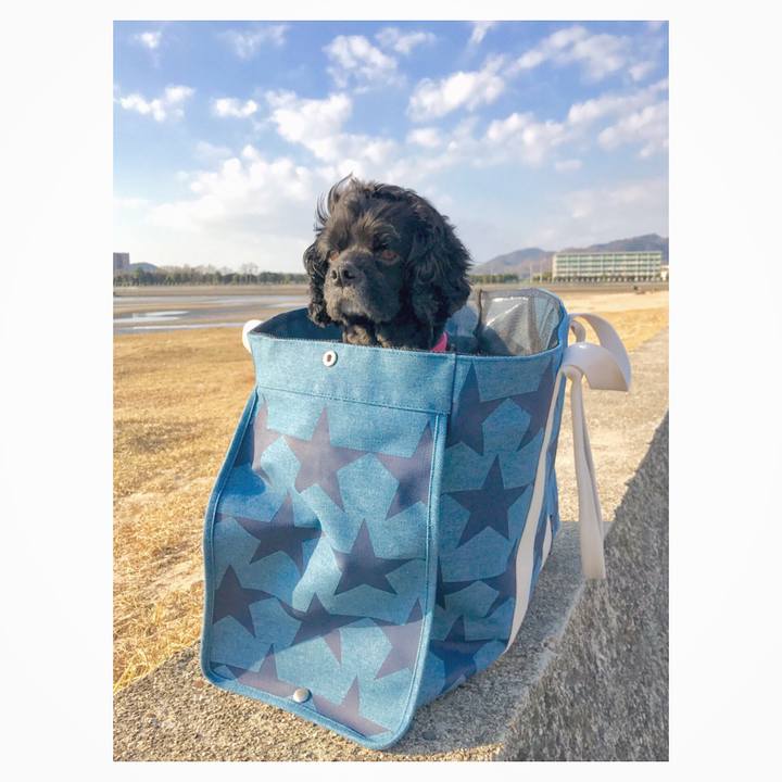 D9cecb5f 1663 4b85 a7e8 bcdcb3ae697e 1548338131235