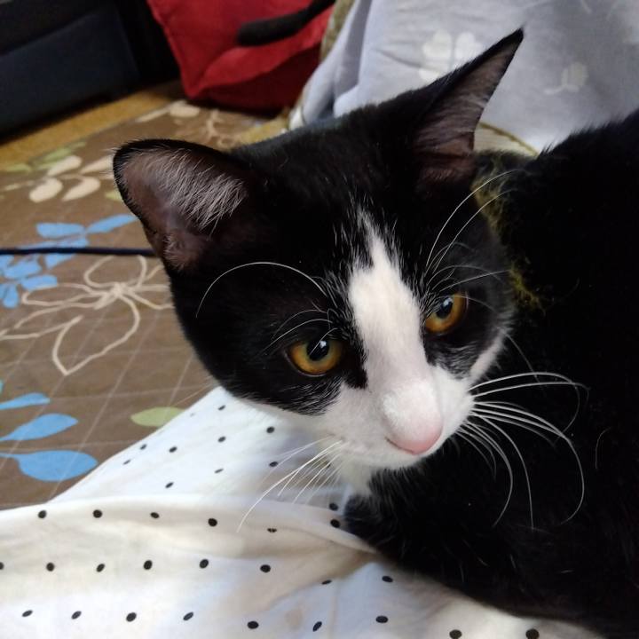 D9cf03df f309 4d9a 9478 67605805de37 1645868801889