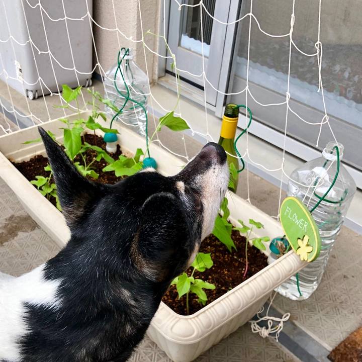 D9cf0f85 282c 4e88 bf40 5f671510f25c 1559257365398