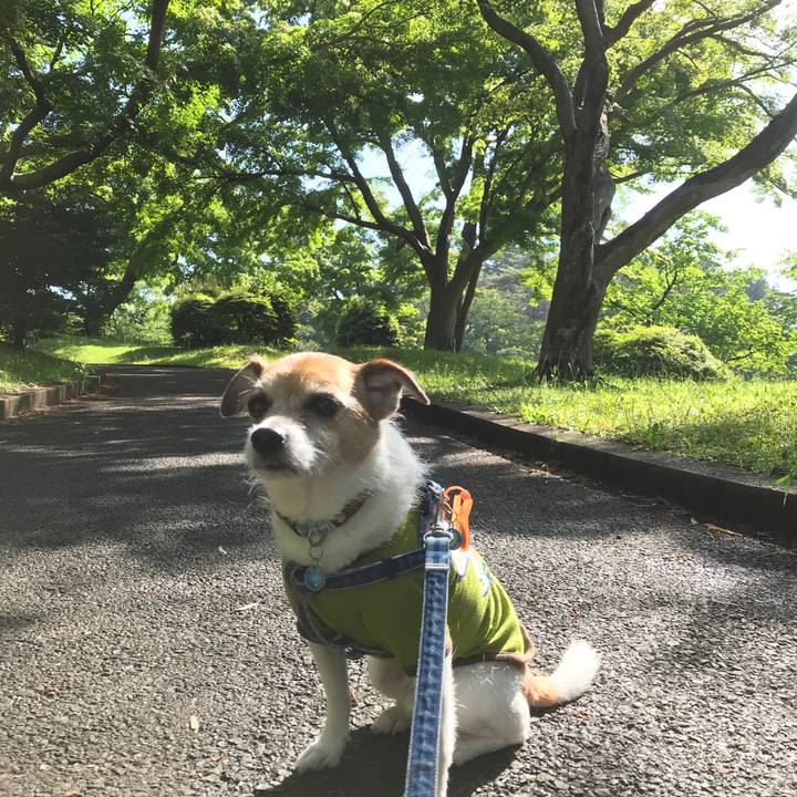 D9cf1120 cb60 413c a207 a9ad9c3becc8 1589673515132