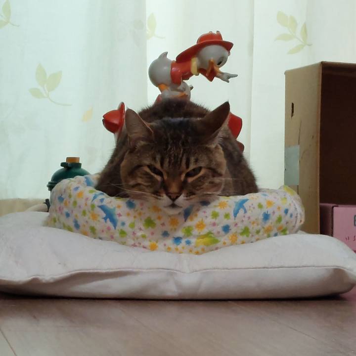 D9cf3c93 56d8 43ea 8121 d1b9207b3618 1652249285464