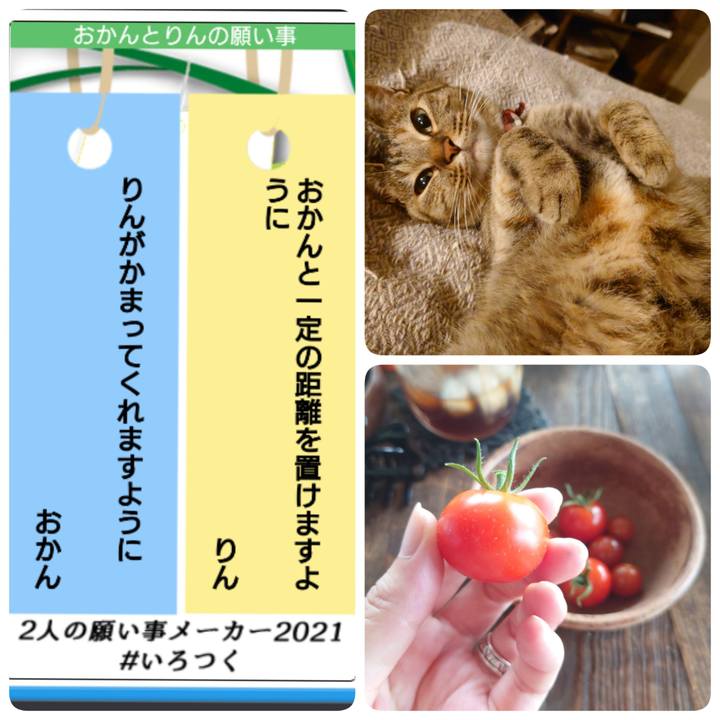 D9cf49d8 07e1 40f4 8cdf 805aacc4f750 1625583718699