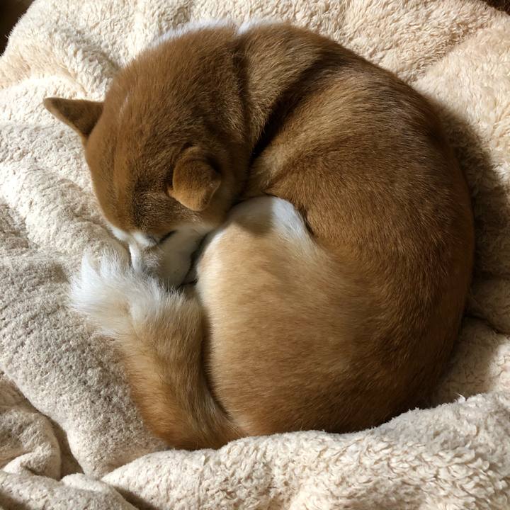 D9cf5226 448d 48d6 aeb4 c88122ca8c5e 1547253005795