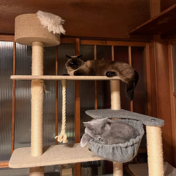 D9cf561a 8fce 4320 8650 2975b2edb6d1 1671534477719