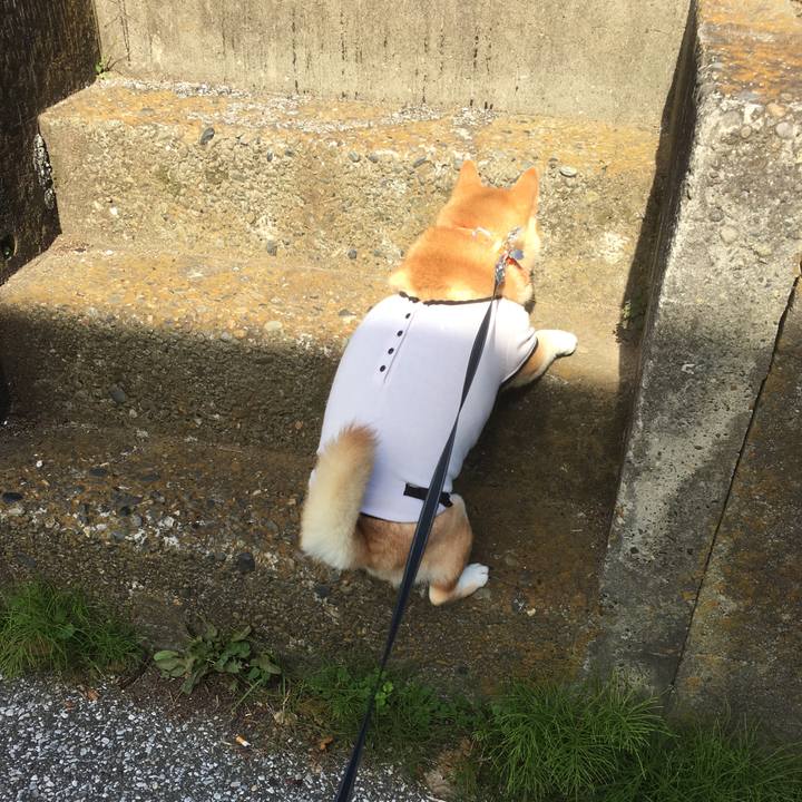 D9cf6994 20b0 468e 88b4 0de4ec0aef08 1541040211481