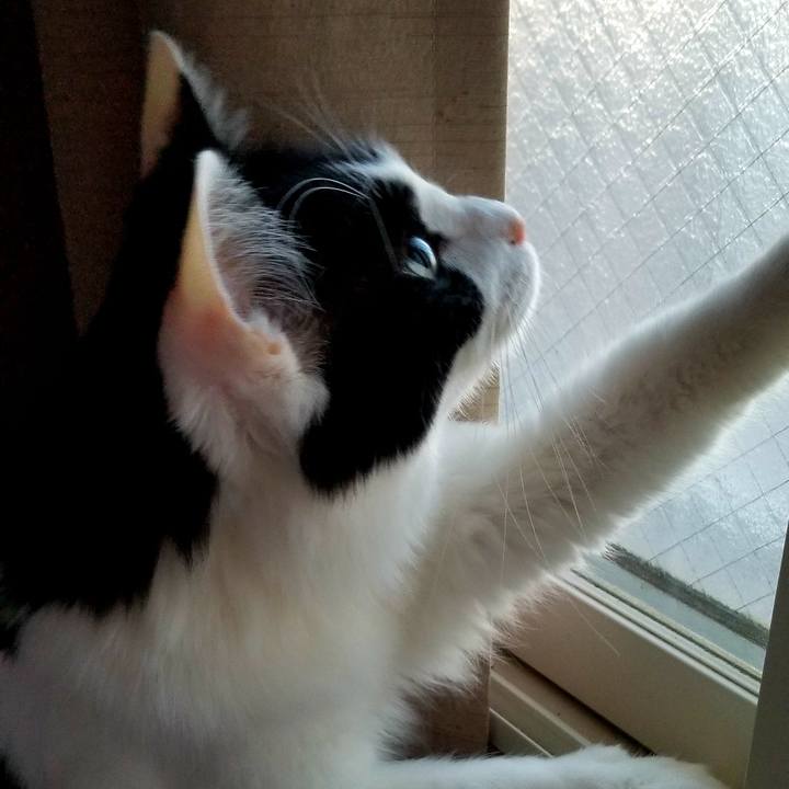 D9cf71dd 4c10 4f35 9523 e52eb295081a 1548367702795