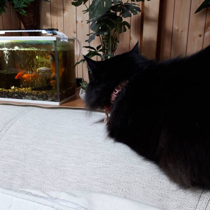 D9cfc079 a79c 4ac2 8aa2 45df5af79d09 1521228300630