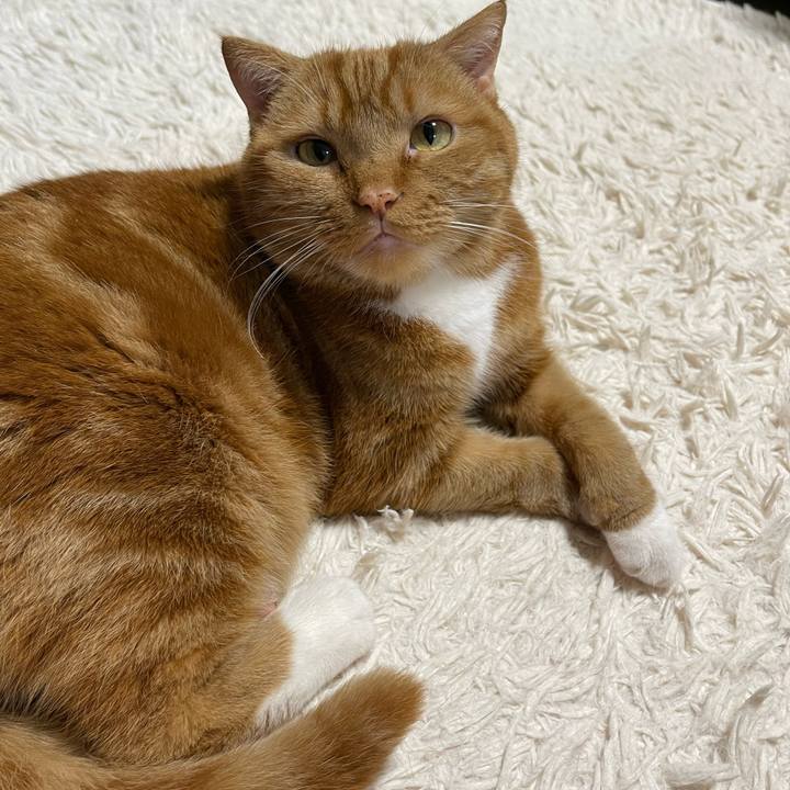 D9d02e01 81c0 41f6 ba54 9019cf634c6f 1655818235837