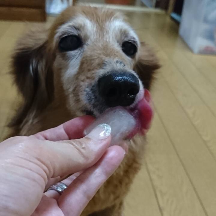 D9d05b6a 7767 4af2 b9bd 70bf7b9de041 1600933233417