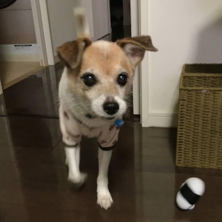 D9d063b5 363b 4b5d 8351 3dcf9c4f66f7 1665531613069