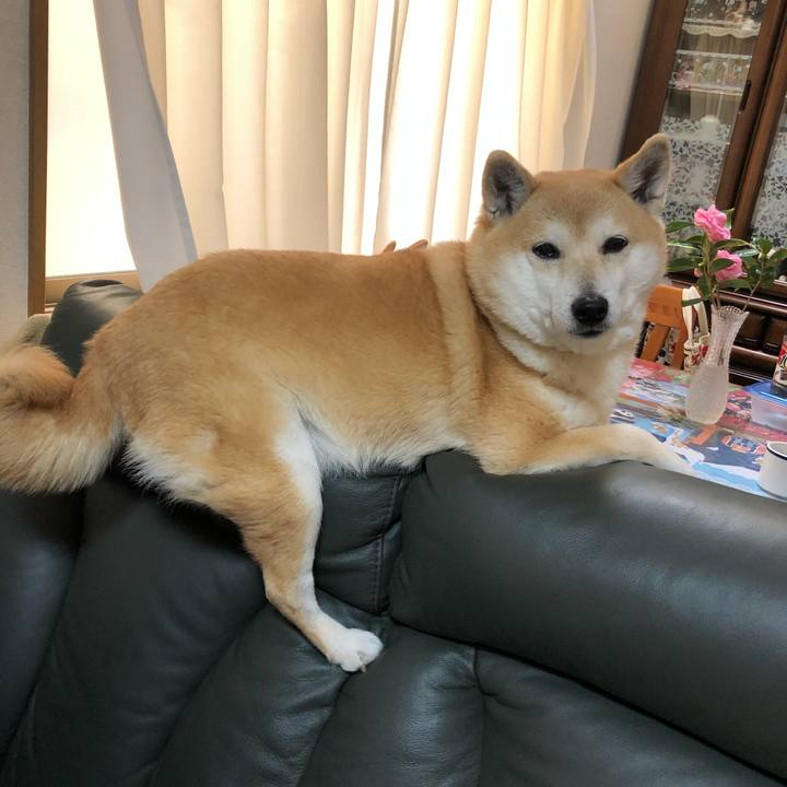 D9d07934 fe2e 43a1 860e 1969a94ba634 1586786665301