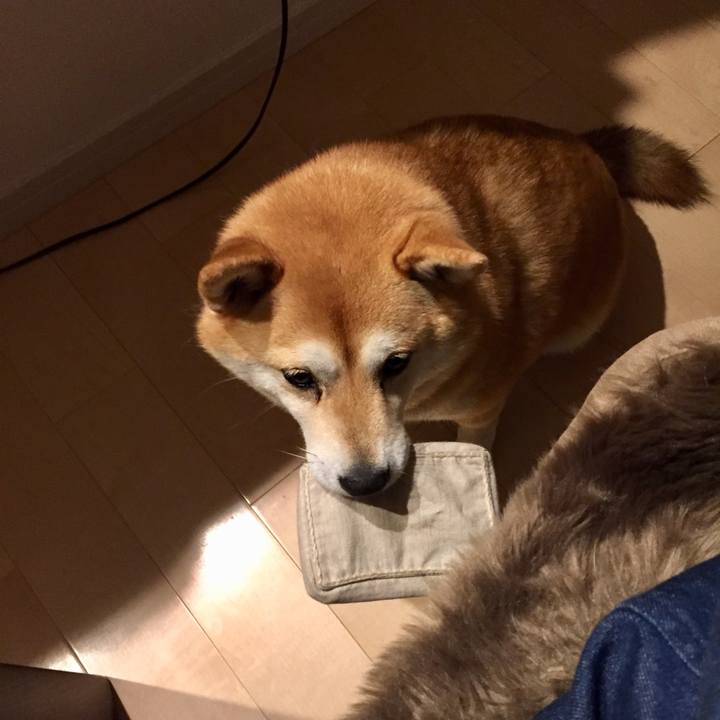 D9d08451 e89a 43f9 83cf e9ff7f6d9e85 1528352953827