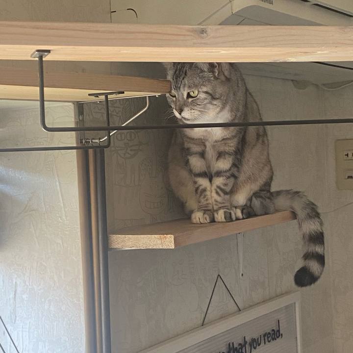 D9d09db7 1c30 4002 8a03 36722b2f4be0 1717808715096