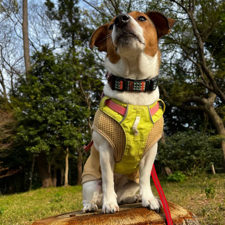 D9d0acfa e23b 4223 9ea7 2c2a6b7c45b7 1743900872128