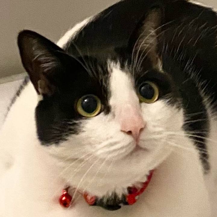 D9d0c913 e227 472c 91ca ab4224776abb 1616881976323