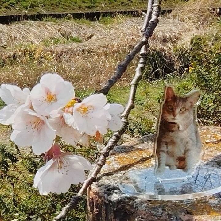 D9d10c70 d3f8 4a2c a88b 2482d3b65ed7 1774755554851