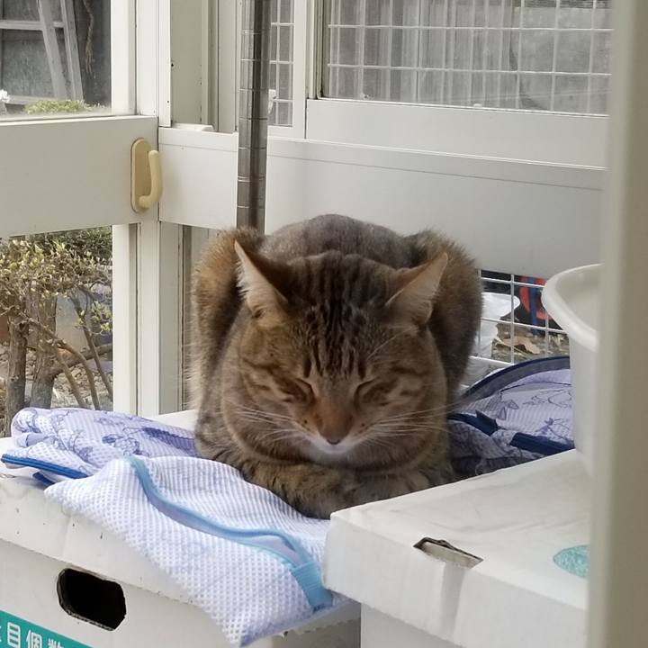 D9d1407d d7e7 47d6 a41a abf967d6153e 1651388233223