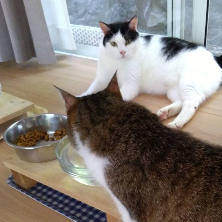 D9d16acb 625e 4cb7 b47f 5d341051270b 1531654436643