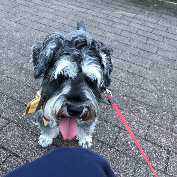 D9d18740 6995 471e a83f 54e993722522 1630411341331