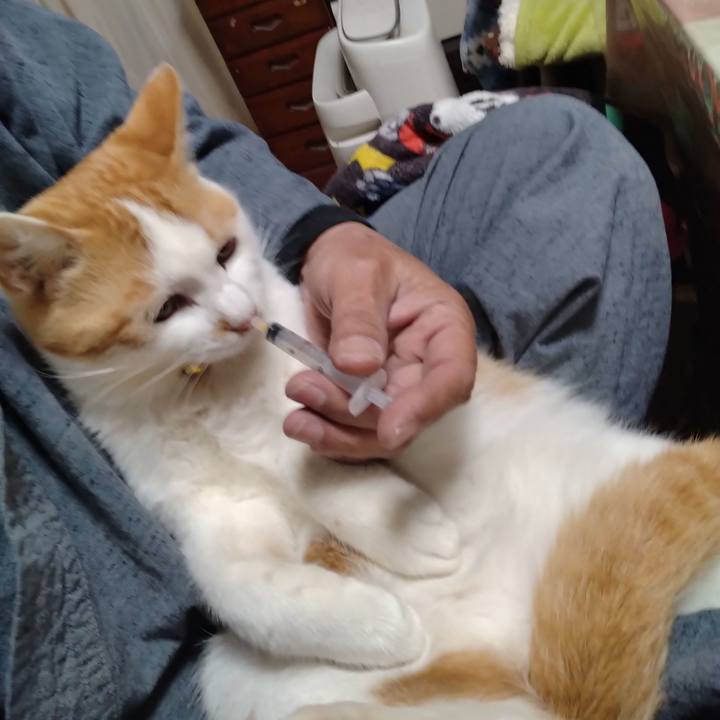 D9d20aaf 74b7 4d4c 919a 3bd715fbb7be 1745230314605