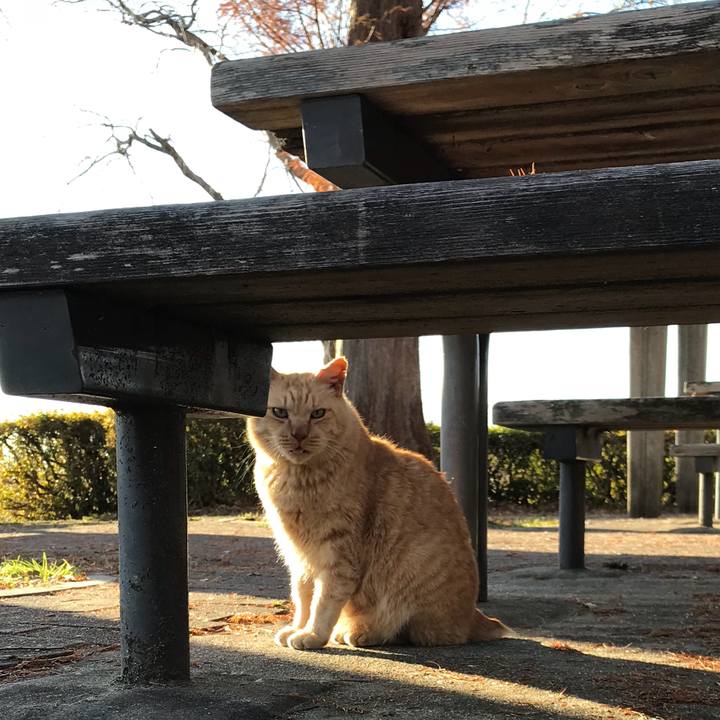 D9d2177f b262 46e2 b53f 7a46f4085fd5 1520843374263