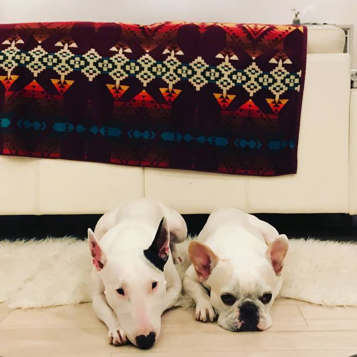 D9d22754 9c23 410e a4fc 6faca6549e8b 1525603817048