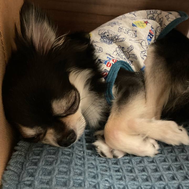 D9d2721f 890a 4cc8 9e41 c4cad662964a 1650719208959