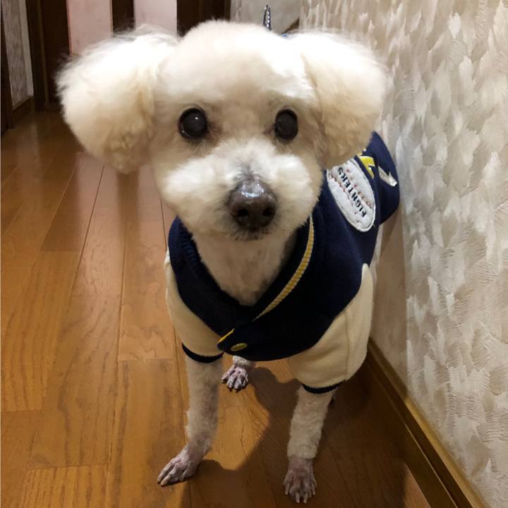 D9d298c3 d67d 4218 a932 e7dca69b79e8 1551150134611